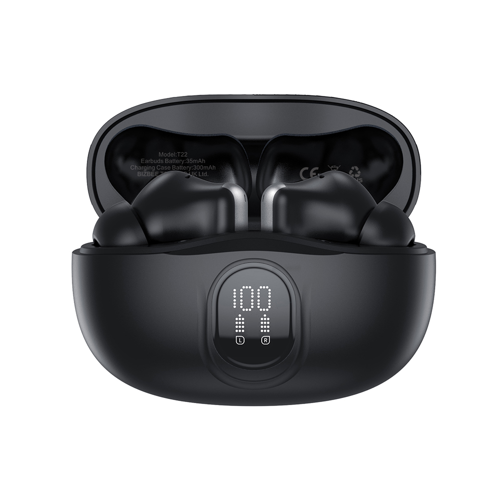 Bluetooth 5.3 ANC earbuds with mic