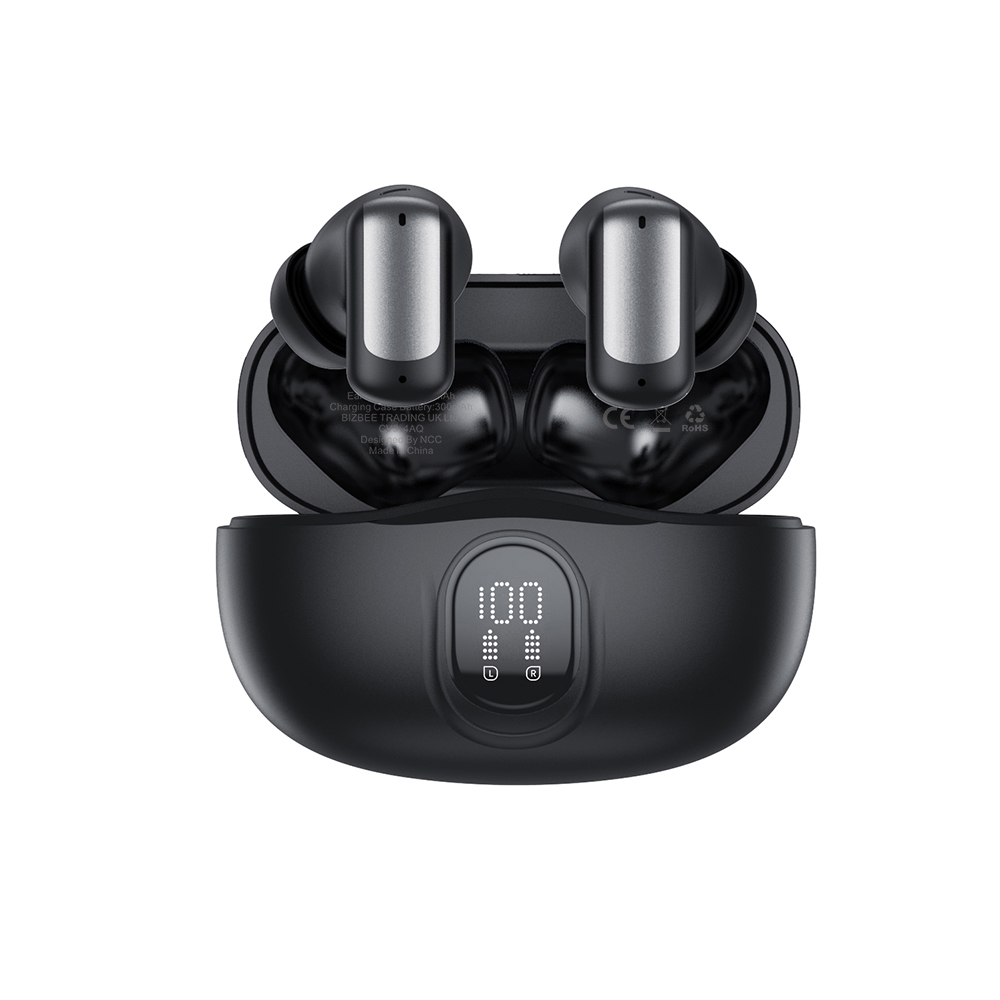 True wireless earbuds with noise cancelling