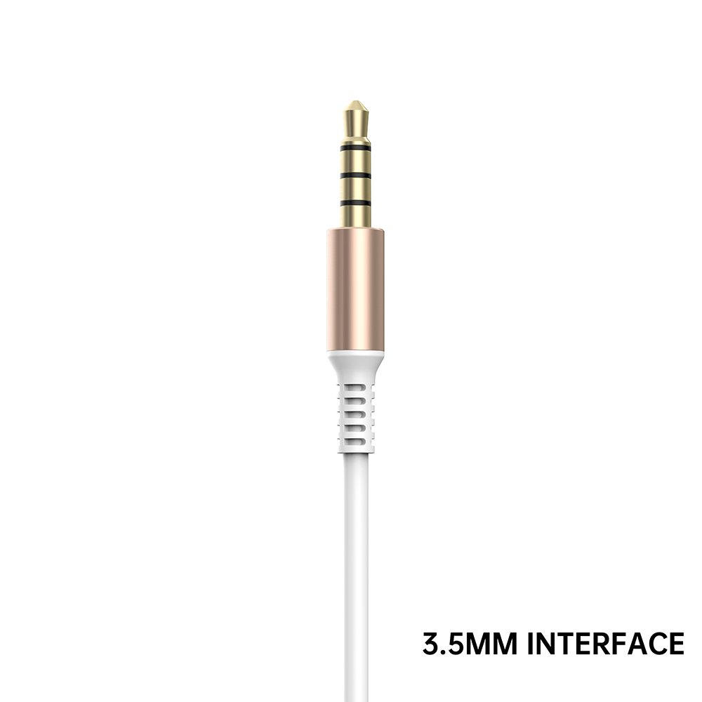 NCC AUX1001 Type-C/Lightning/3.5mm to 3.5mm Plug Charging Cable 1.0M